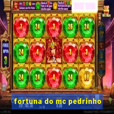 fortuna do mc pedrinho