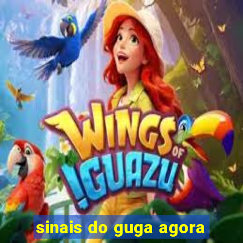 sinais do guga agora