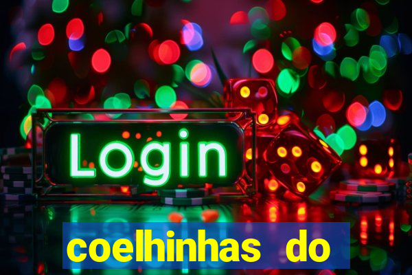 coelhinhas do brasil recife