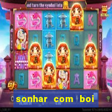 sonhar com boi jogo do bicho