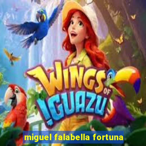 miguel falabella fortuna