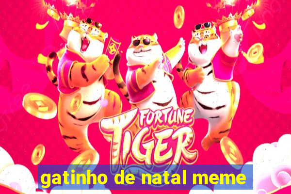 gatinho de natal meme