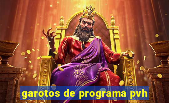 garotos de programa pvh